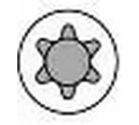 Set di bulloni per testa del cilindro AMC 258095