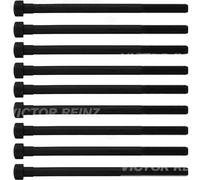 Set di bulloni per testa del cilindro REINZ 14-10276-02