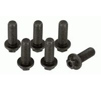 Set di viti, volano SACHS 1874 000 045