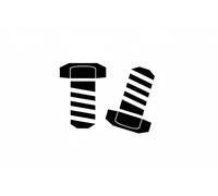 LuK Set viti volano 411 0247 10 – Kit bulloni