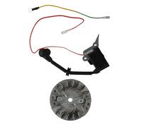 Kit Volano e Accenditore per Motosega 2500 25CC Compatibile con per Motosega 12