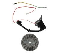 Kit Volano e Accenditore per Motosega 2500 25CC Compatibile con per Motosega 12