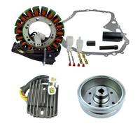 Kit Volano +Estrattore+Statore+Regolatore +Guarnizione Per Arctic Cat 400 Uomo
