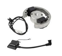 Kit volano magnete rotore statore bobina accensione compatibile con KTM50 KTM 50 SX 50cc per Junior SR JR SX50 Bobina d'accensione