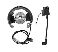 Kit volano magnete rotore statore bobina di accensione compatibile con KTM50 K-T-M 50 SX 50cc Pro Senior Junior SR JR SX50
