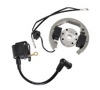 Kit volano rotore statore bobina di accensione per