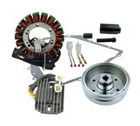 Kit Volano Statore Regolatore Estrattore Guarnizione Per Arctic Cat OEM Ricamb.