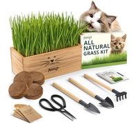 Kit zacate per gatti da interno - 4 confezioni di semi | semi di zacate per gatti con vaso in legno, pavimento e mini attrezzi da giardinaggio per tritare - zacate di grano sicuro