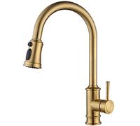 Kitchen Faucet with Pull Down Sprayer, 3-Function Pull Out Kitchen Sink Faucet,Stainless Steel Single Hole Single Handle Kitchen Sink Taps,Brushed (Brushed)