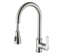Kitchen Faucets Flexible Pull-out Sink Mixer Tap 2 Modes Cold And Hot Water Faucet 360° Rotation Faucet,Silver