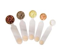 Kitchen Measuring Spoons, Portion Control Utensils, 5 Piece Food Prep Set, Lightweight Cooking Tools, Sturdy Serving Accessory, for Meal Prep Restaurant Catering Commercial Buffet Dormitory Daily Use