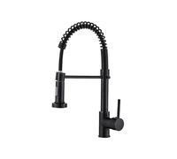 Kitchen mixer tap Matte black kitchen faucet with pull-out sprayer black Tw