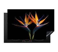 KitchenYeah© Coperchio Piano Cottura 80x52 cm Cucina Copri Fornelli Tappetino Induzione Antiscivolo Piastra Protezione Piante - Fiori - Uccello del paradiso - Ritratto - Nero