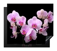 KitchenYeah© Copri Piano Cottura 58x51 cm Coprifornelli Tappetino per Induzione Fornello Tutto per la Cucina Orchidea - Fiori - Rosa - Flora
