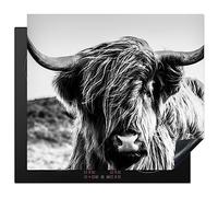 KitchenYeah© Copri Piano Cottura Induzione 59x52 cm Coprifornelli Fornello Proteggi Tutto per la Cucina Fornelli Mucca - Highlander scozzese - Nero - Bianco - Natura - Vita selvatica