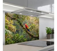 KitchenYeah© Paraschizzi Cucina Adesivo 60x90 cm Pannello Parete per Paraspruzzi Adesivi Muro Ara - Giungla - Rosso