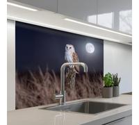 KitchenYeah© Paraschizzi Cucina Adesivo 80x100 cm Pannello Parete Paraspruzzi Muro Decorativo Barbagianni - Luna - Notte