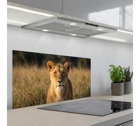 KitchenYeah© Paraschizzi Cucina Adesivo Pannello Parete Paraspruzzi | 45x90 cm - Rivestimento Leonessa - Erba - Giallo