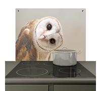 KitchenYeah© Paraschizzi Paraspruzzi per Cucina Lamiera 77x51 cm Alzatina Top Decorazioni Cucine, Coprifornelli Barbagianni - Animale - Beige - Gufo