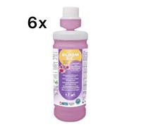 Kiter Bloom SC 1L x 6 pz, Detergente Quotidiano per Pavimenti Asciugatura Rapida
