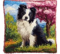 kitphoenix Set Cuscini Con Bloccaggio A Scatto Animale Kit Per Ricamare Cuscini Kit Per Fabbricare Cuscino A Punto Croce Per Bambini Adulti Principianti,Accessorio Per La Casa,Colorato,43 Cm×43 Cm