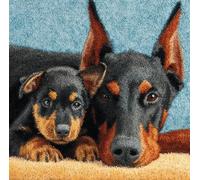 kitphoenix Set Cuscini Con Bloccaggio A Scatto Animale Kit Per Ricamare Cuscini Kit Per Fabbricare Cuscino A Punto Croce Per Bambini Adulti Principianti,Accessorio Per La Casa,Colorato,43 Cm×43 Cm