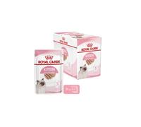 Kitten Mousse 12 x 85 g Cibo umido per gatti Specifico per gattini nella seconda