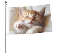 Kitten Sleeps - Bandiera da giardino con stampa su entrambi i lati, 6 x 0,9 m, bandiera da giardino per esterni, bandiere per vacanze, banner regalo con occhielli per sfondo fotografico per interni ed