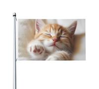 Kitten Sleeps Bandiere per esterni 9 x 1,5 m, bandiera stagionale da giardino con occhielli bandiera esterna per decorazioni per la casa sfondo fotografico