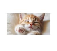 Kitten Sleeps Banner segno per esterni interni compleanno sfondo poster decorazioni per feste forniture sfondo foto con occhielli bandiera da parete personalizzata