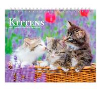 Kittens 2027 7.5 X 6 Inch Monthly Double-View Easel Desk Calendar