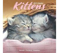 Kittens 2027 Calendar | Square Wall Calendar | Cat Gift | Plastic Free Packaging | by Avonside Publishing
