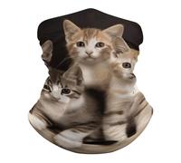 Kittens Family Cats Scaldacollo Versatili Protezione del Viso Elastico Sciarpa al Collo per Outdoor Adulto Yoga 25X50Cm