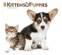 Kittens & Puppies 2026 12 X 24 Inch (Hanging) Monthly Square Wall Calendar Foil Stamped Cover Plastic-Free