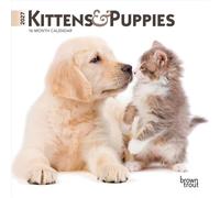 Kittens & Puppies 2027 7 X 14 Inch (Hanging) Monthly Mini Wall Calendar
