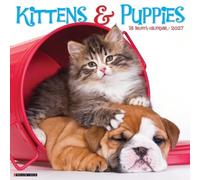 Kittens & Puppies 2027 Wall