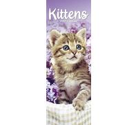 Kittens Slim 2025 Slimline Wall Calendar | Cat, Animal, Pet Calendar