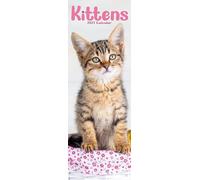 Kittens Slim 2027 Calendar | Slimline Wall Calendar | Cat Gift | Plastic Free Packaging | by Avonside Publishing