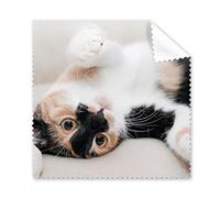 Kitty Cat Stripes relax sonno animale occhiali panno di pulizia Gift Phone Screen Cleaner 5PCS