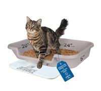 KittyGoHere - Lettiera per gatti anziani, 1 confezione, grande lettiera per gatti con ingresso basso, colore grigio nebbioso, dimensioni per il comfort dei gatti, perfetta per gatti anziani e