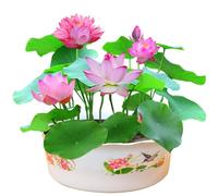 KituT 200 Semi di Fiori di Loto, Colori Misti, Decorazioni per la casa, Semi di Loto, Semi di Bonsai, Semi di Loto in Ciotola per la casa, Giardino, Balcone