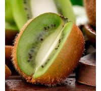 kiwi - rare in vaso giardino esotico roccioso a spalliera 50semi