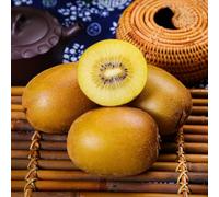 kiwi resistente alla siccità giardino roccioso ver bacche al calore 350semi