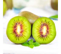 kiwi - serre balcone esotico a spalliera giardino roccioso rare in 30semi