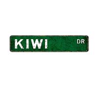 Kiwi Targa in latta con scritta in lingua inglese "The Home", decorazione per la casa, pannello da parete in metallo, per bar, ristorante, 10,2 x 40,