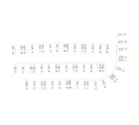 Kixolazr Adesivi per pianoforte per principianti, etichette rimovibili per note sulla tastiera del pianoforte - Adesivi per note di tastiera per pianoforte,Etichetta con lettere per note musicali in