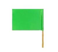 KIXZSAZ 20x30cm/30x40cm Bandiere Piccole Bandiera Decorazione FAI DA TE Colore Puro Mattina Esercizi Banner Sport Meet Dancing Puntelli Bomboniere e Ricordini, Verde/20x30 cm