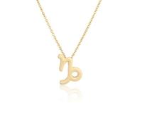 KIXZSAZ Ins Twelve Segno zodiacale Costellazioni vintage Tema Collana dell'amicizia Ins Catena di gioielli Confortevole ciondolo delicato, Oro Capricorno