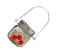 KIXZSAZ Mangiatoia per uccelli Porte di alimentazione Barattolo sospeso Decorazioni da giardino Dimensioni compatte Tazza per alimenti per esterni in vetro squisito di lunga durata