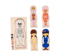 KIXZSAZ Puzzle in legno a forma di corpo umano, giocattoli educativi per bambini, apprendimento cognitivo, regali di compleanno per bambini, puzzle educativi, giocattolo per , Ragazza , 30x15x1.3 cm